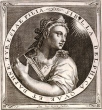 sibylla delphica_