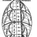 harmonie universelle diagram_