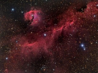 The Seagull Nebula_