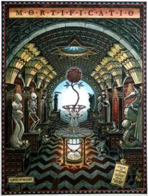 etapa 5mortificatio-