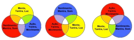 Mente, sentimento e ação
