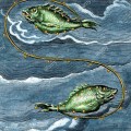 constellations-pisces-eighteenth-century-hand-coloured-engraving-of-constellational-pisces-the-fishes-based-on-the-illumination-in-the-9t