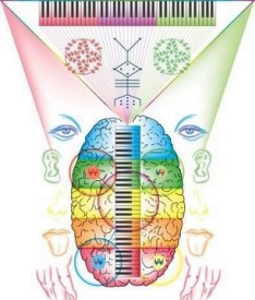 principio sincronicidade