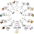 _musical tonality and zodiac