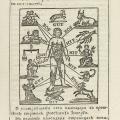 figura 3-Kalendar ili Mesiatsoslov Istoricheskii(1729)